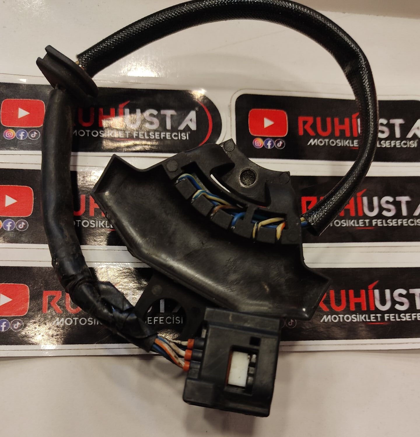 ALFA STATÖR OKUYUCU BEYİN